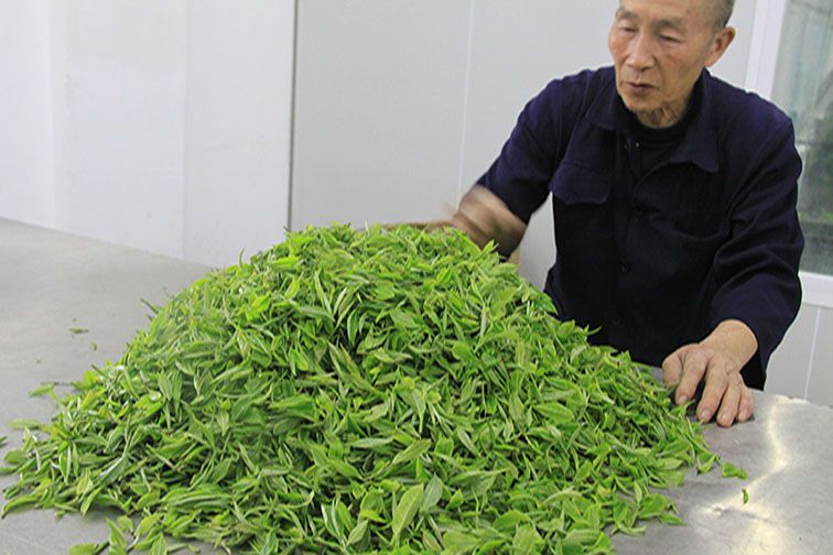茶業(yè)