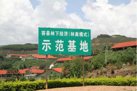 圖片1