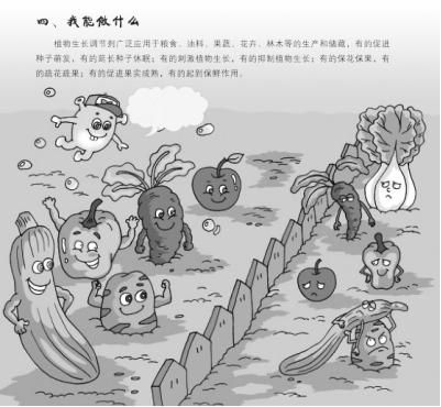 黃瓜