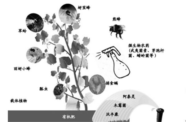 農藥