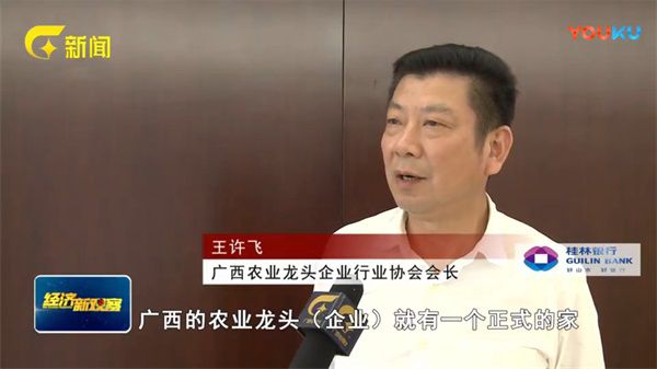 王許飛換屆